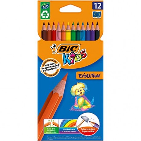BIC Kids Evolution Lot de 18 crayons de couleur Motif rayures Couleurs assorties 