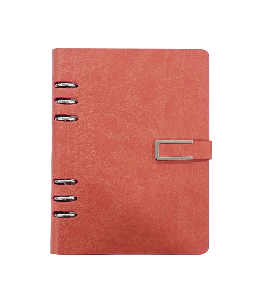 [AG5442] ORGANISEUR AGENDA MODESTIA S.CUIR 15*21 SOUPLE