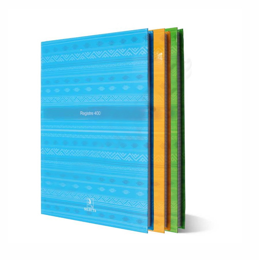 [RE0400] REGISTRE 400P SELECTA 384P 5/5