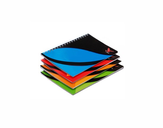 [CS0914] CARNET SPIRAL 96P 9*14CM 5/5 REF 506