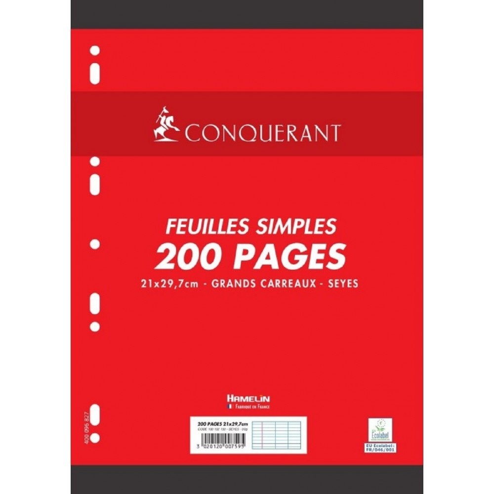 [CH2150] CHARGE CLASSEUR 200P HAMELIN 90G A4