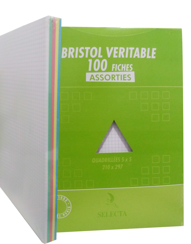 [FI7269] PAQUET BRISTOL 180G GM 210*297 COULEURS ASSORTIS