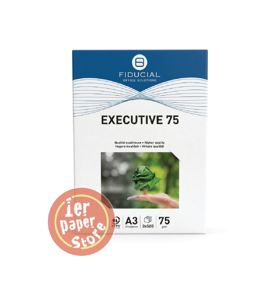 [RP0009] RAME 29.7X42X75G EXTRA BLANC EXLUSIVE